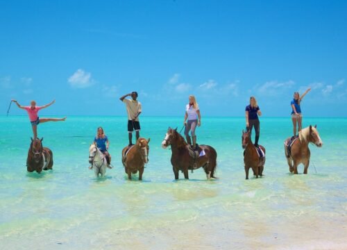 Private excursion transfers Turks & Caicos